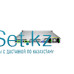 Серверная платформа Gooxi SL101-D04R-G3